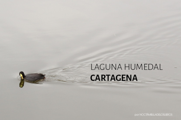 laguna-cartagena